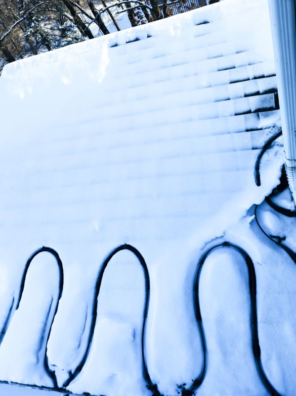 Winter Snow Protection