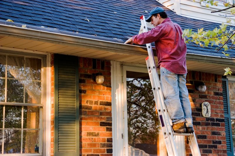 Local Roofing and Gutter Contractors